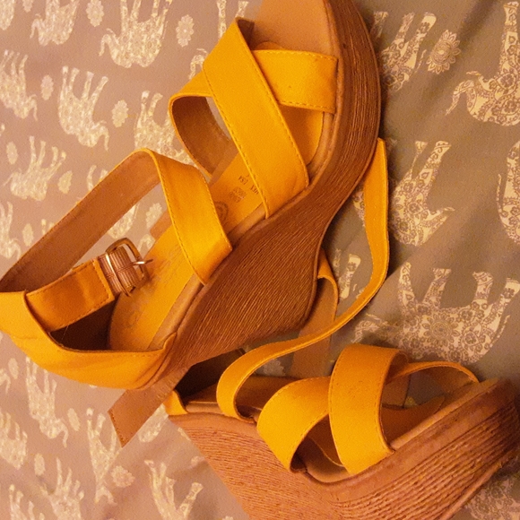 Plantfo - Picture 3 of 4